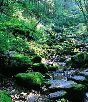 日本岐阜县 诗一样的自然世界 - 旅游指南 - 欲望