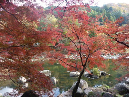 巴川沿河的红叶