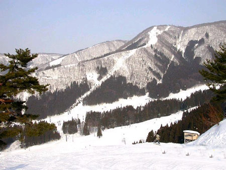 日本六大高山滑雪渡假村之一 野泽温泉滑雪场