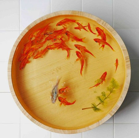 日本艺术家深堀隆介创意作品--立体树脂金鱼画