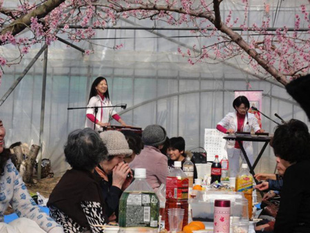 日本最早的赏花地温室桃花宴