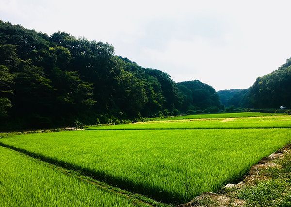《中学圣日记》 圣地巡礼（上篇）