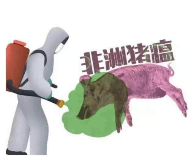 为防止非洲猪瘟疫情扩散 日本政府进一步强化相关应对措施