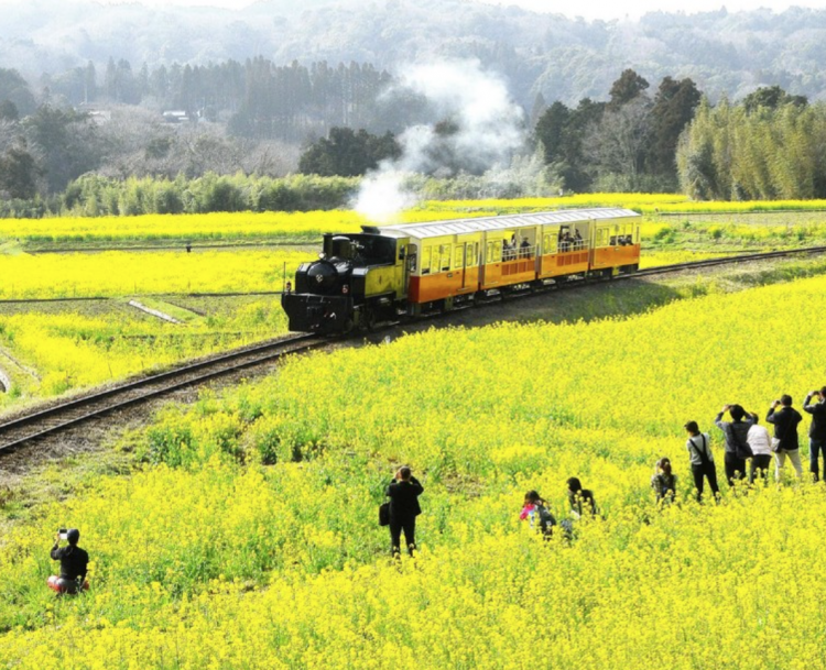 日本10大轨道列车——一场绝景震撼之旅