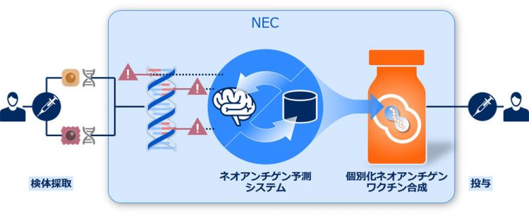 日本NEC进军医药研发事业，AI研发癌症疫苗的未来可期