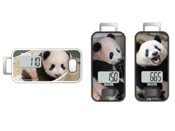 百利达推出3款印有熊猫“香香”照片的计步器