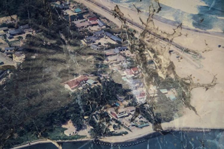 “东日本大地震”以来8年：一名冲浪者的灾后故事