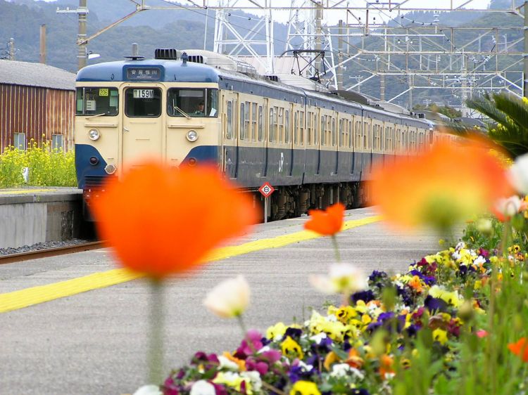 《能看见海的车站》千叶篇：浜金谷站、竹冈站、和田浦站