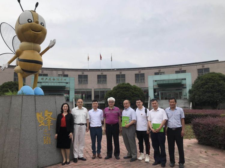 中国生态蜂业委员会主委考察“蜂之语”蜂业集团