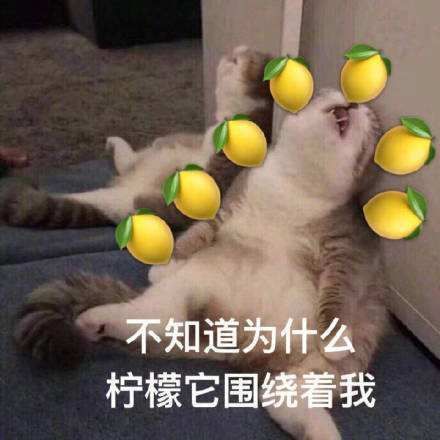 在石原里美的家里住一晚是什么感受？