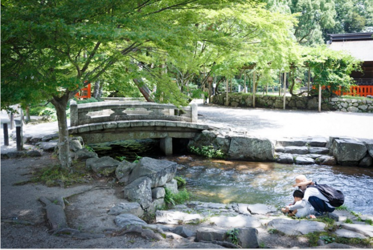 盛夏京都避暑之旅——上贺茂神社