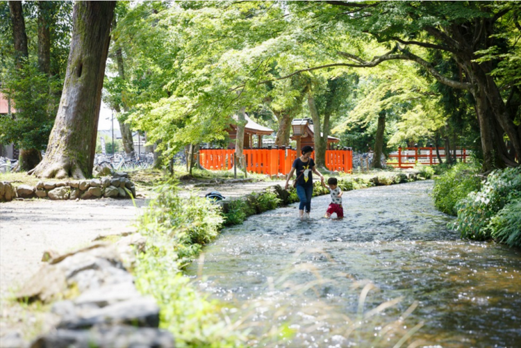盛夏京都避暑之旅——上贺茂神社