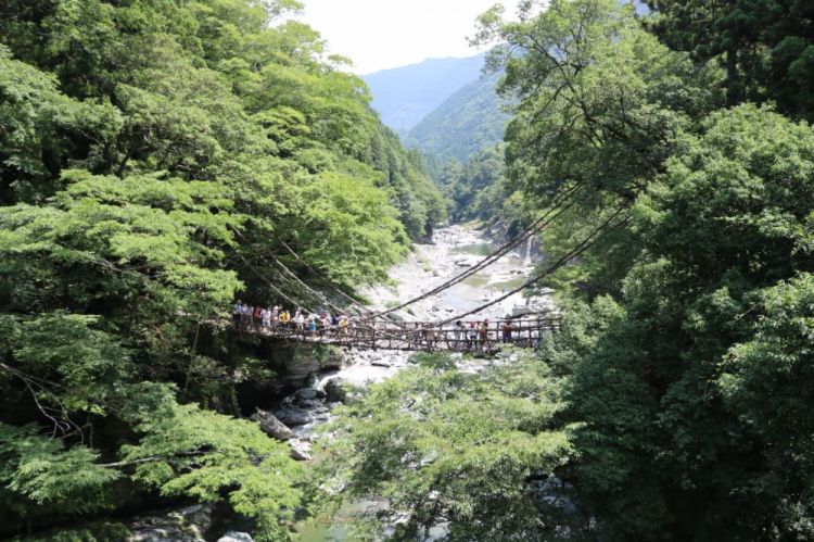 京都“旅游公害”凸显，转变发展方式或将是解决之道