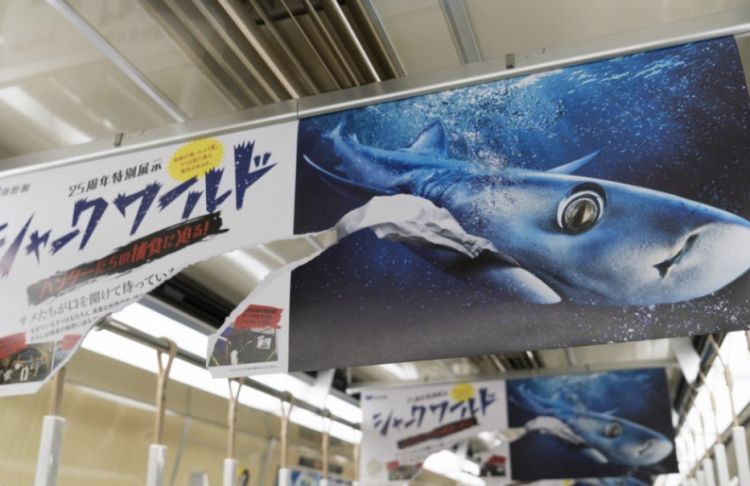 为吸引手机低头族，日本惊现千奇百怪的电车广告