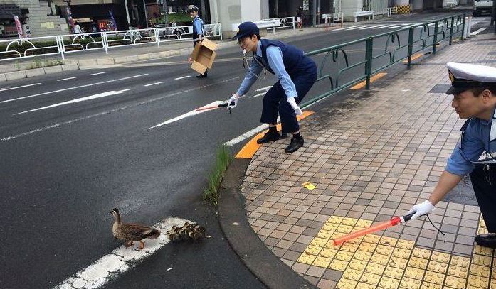 一天不学都跟不上社会的日本警察