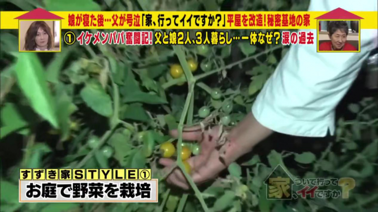 建房子、缝衣服、编头发…他为了女儿点亮了所有技能树，却唯独做不到这个