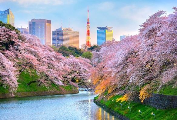 日本成为最具有旅行观光竞争力的亚洲国家 