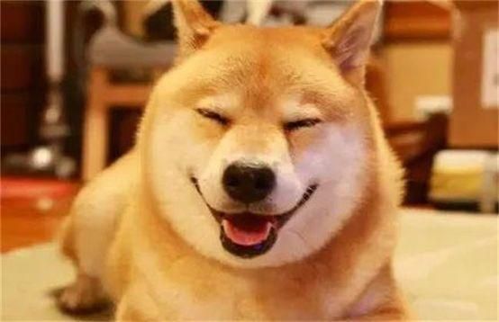 19年后再受欢迎，《犬夜叉》怎么成为跨时代经典？