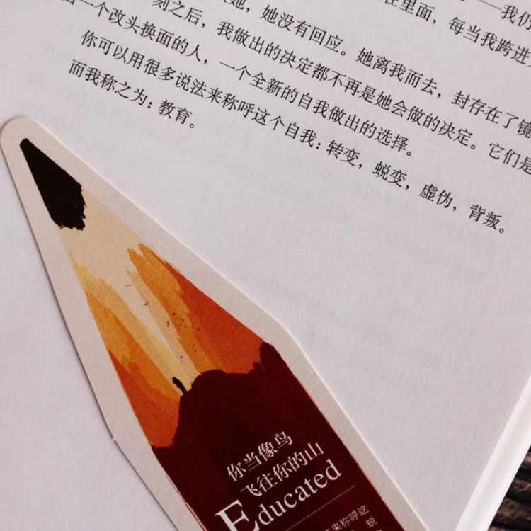 豆瓣9.0，比尔·盖茨年度荐书 Top1 中文版终于来啦！