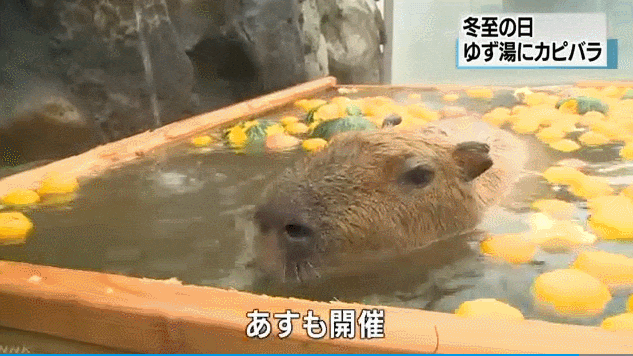 日本人对泡温泉到底有什么执念？