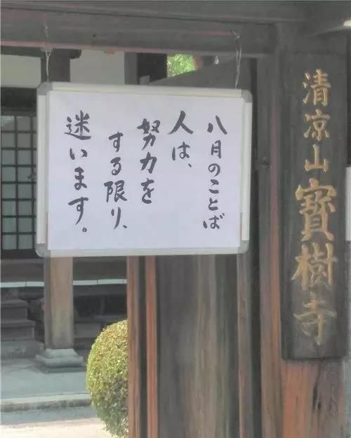 这些扎心又现实的日本寺庙标语，是不是又戳中你了？