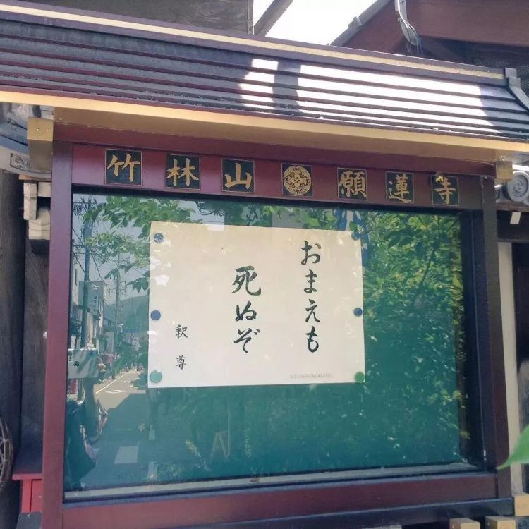 这些扎心又现实的日本寺庙标语，是不是又戳中你了？