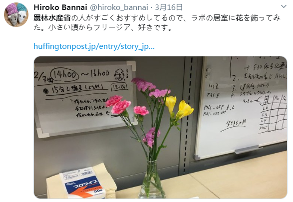 日本国家公务员“被迫营业”，网友：感觉被治愈了