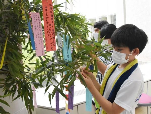 中日节气风物志︱日本七夕节，织女姐姐在忙啥？