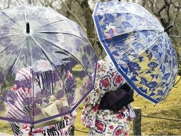 为什么日本女孩都爱用透明雨伞？