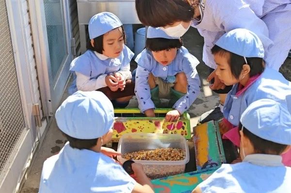 坂本龙一和小野洋子上过的“幼儿园”：教育的根源始终在生活中