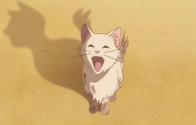日本文豪养猫，都是大型真香现场