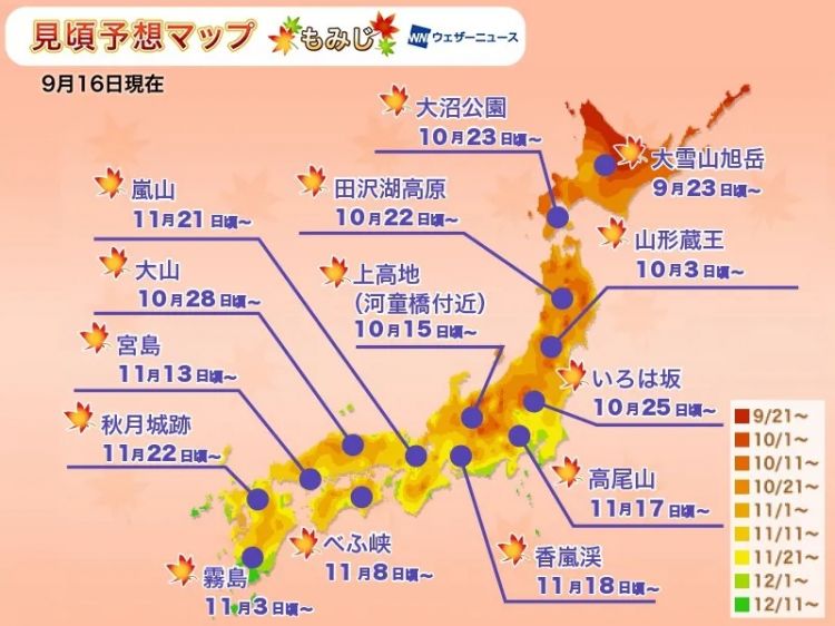 中日节气风物志丨被红叶打动的N个瞬间