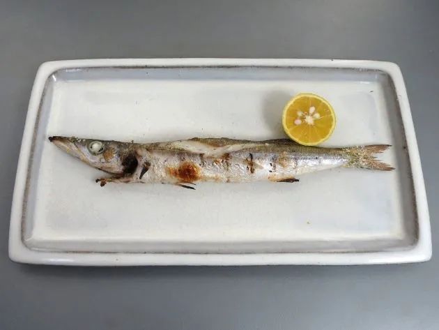 日本人为啥不让媳妇吃秋梭子鱼？
