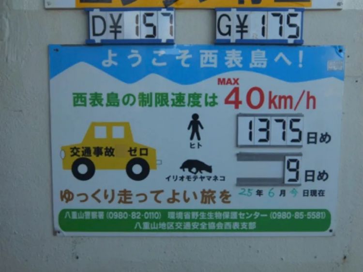 日本老司机上路真是太太太难了！
