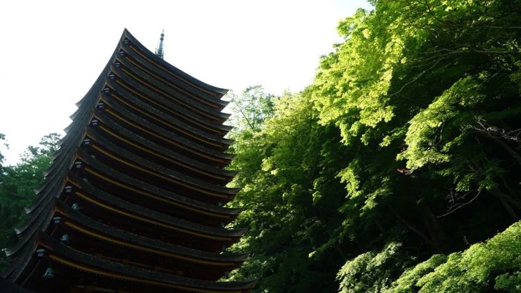 为什么日本人不喜欢高层建筑？