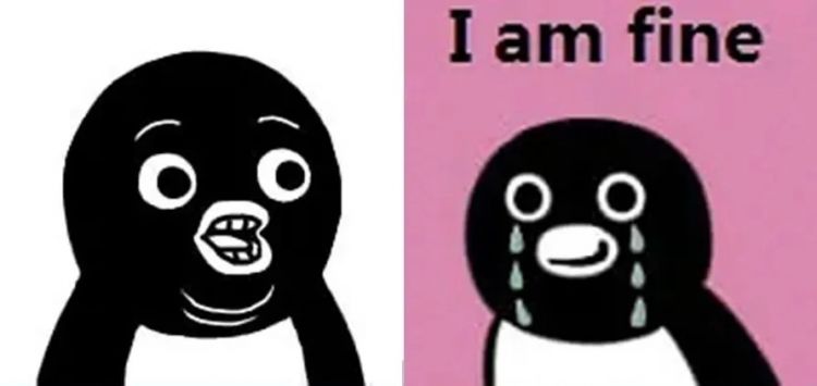 火遍国内互联网的沙雕企鹅，竟是日本吉祥物