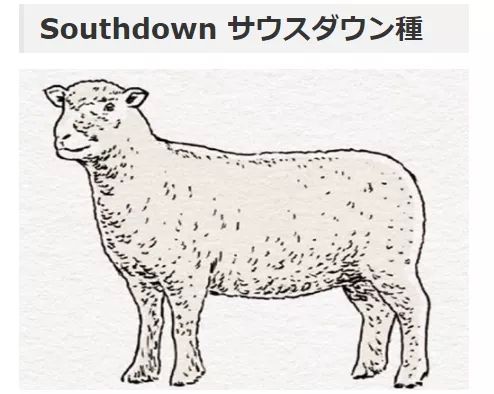 为什么日本人很少吃羊肉？