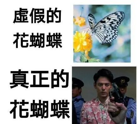 他不仅仅是人见人爱的“东京花蝴蝶”