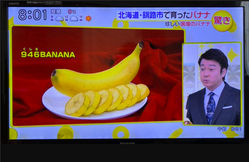 日本开卖可以连皮吃的香蕉，66元1根