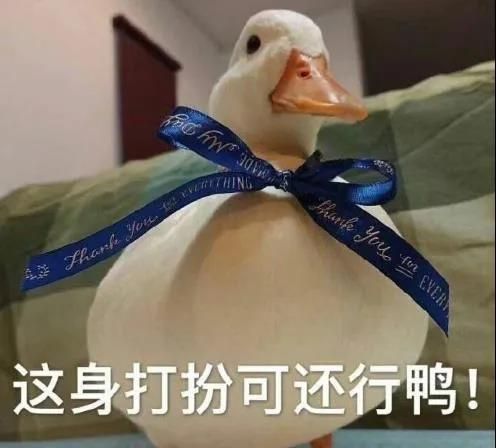 7只小黄鸭被日本网友融合成1只超人鸭，真·究极进化