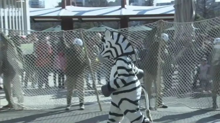 在日本的动物园散步才是正经事