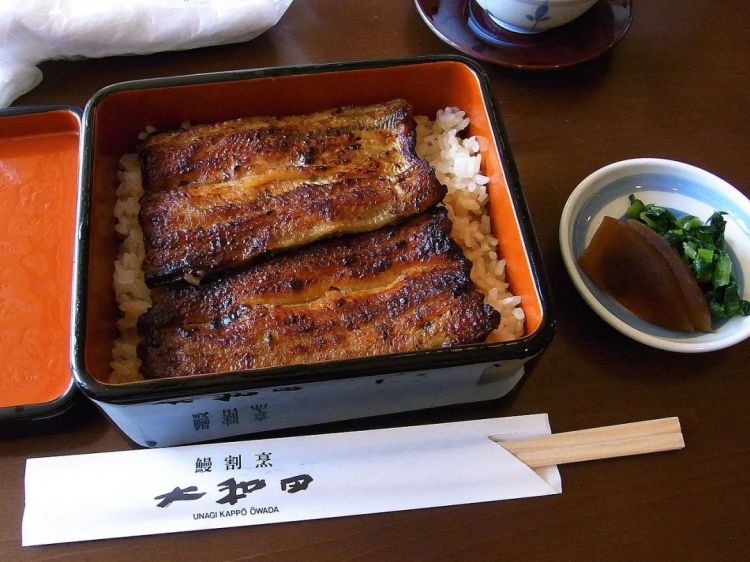 为什么日本人要用中国鳗鱼冒充日本鳗鱼？