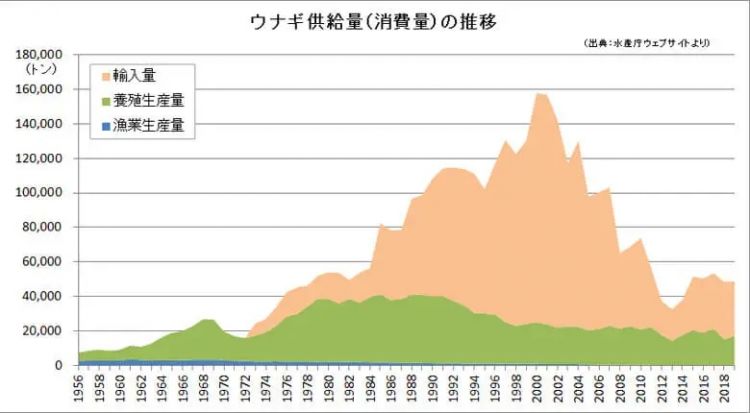 为什么日本人要用中国鳗鱼冒充日本鳗鱼？