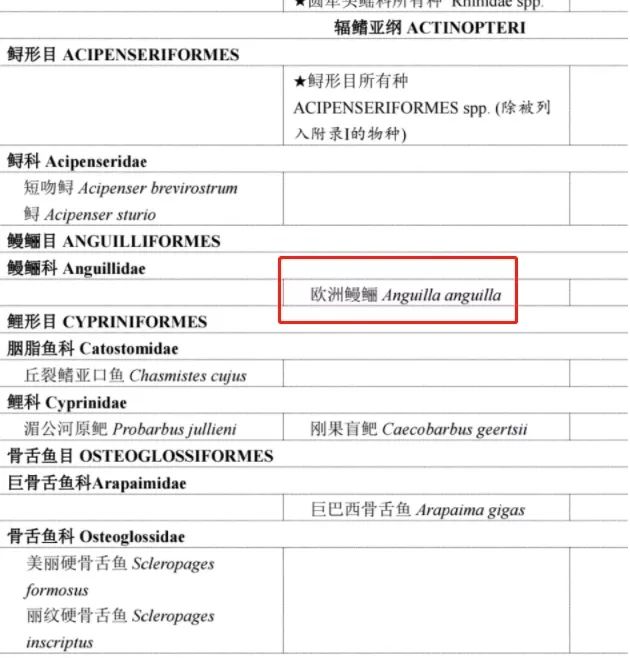 为什么日本人要用中国鳗鱼冒充日本鳗鱼？