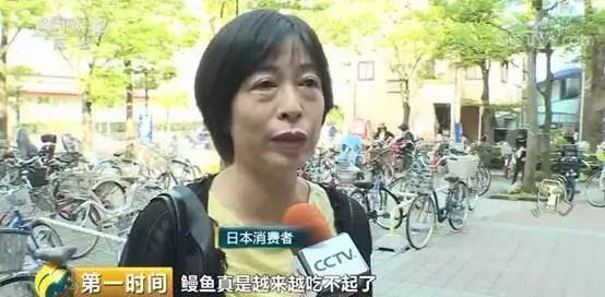 为什么日本人要用中国鳗鱼冒充日本鳗鱼？