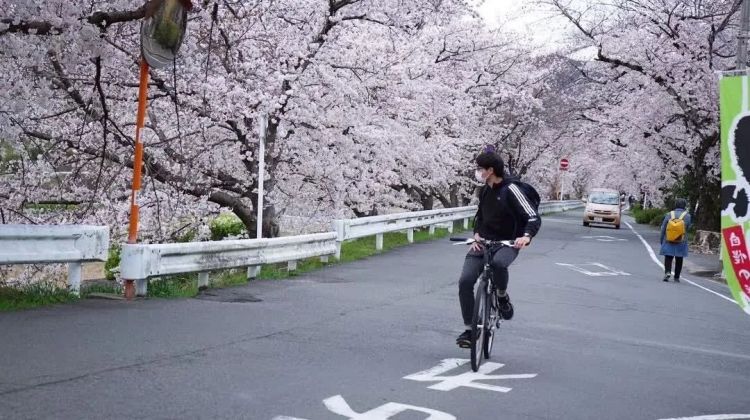 在日本骑自行车，规矩太多了