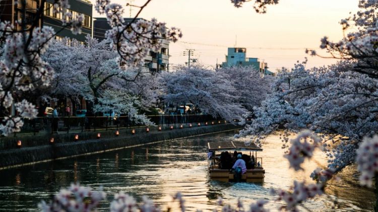 日本生育率为何一跌再跌？