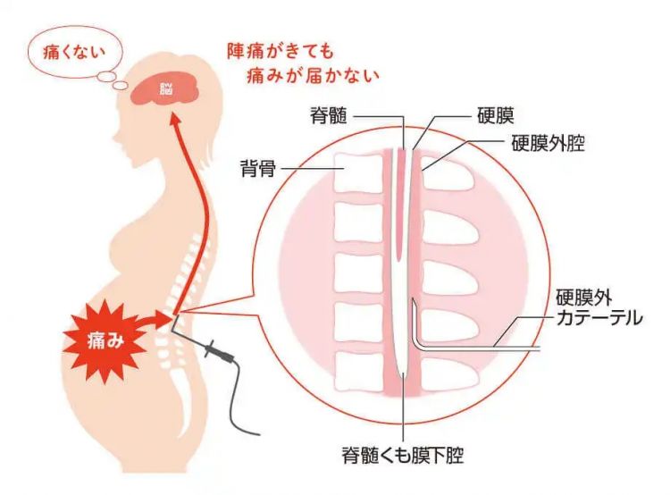 日剧男神对孕妇发言惹众怒，只因一句话，败光了路人缘...