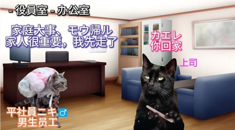 日本人妻来中国离婚后每天凌晨2点起床怒学中文，靠做猫meme火了