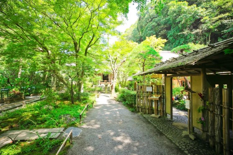 日本小城里的夏天，怎么样都玩不腻